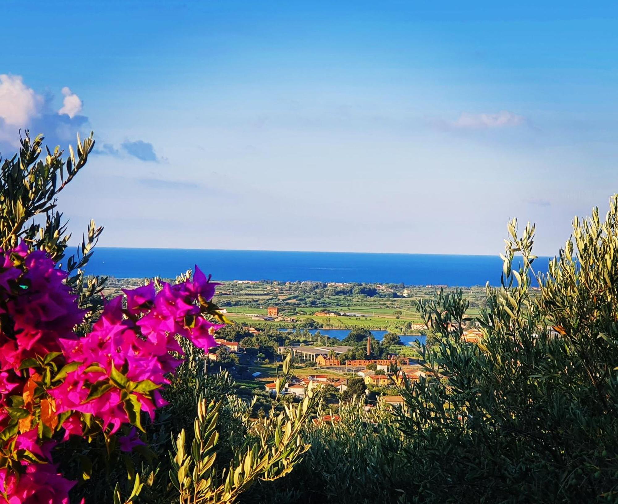 Colle Del Mirto Villa Castelnuovo Cilento Luaran gambar